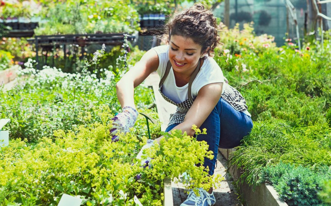 Beginner’s Guide: Tips for Planting Your First Garden
